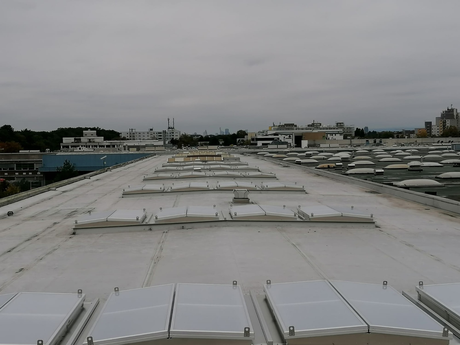 Tageslicht Projektbild